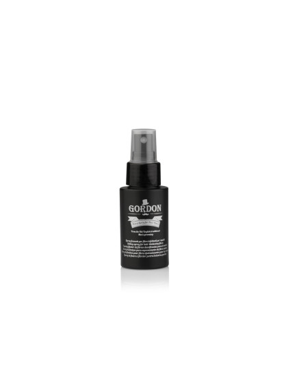 Labor Pro Gordon Fissativo Spray Fissante 60 ml