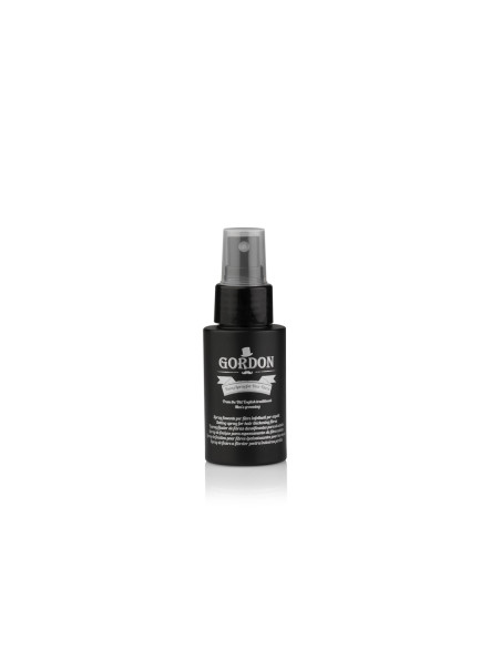 Labor Pro Gordon Fissativo Spray Fissante 60 ml